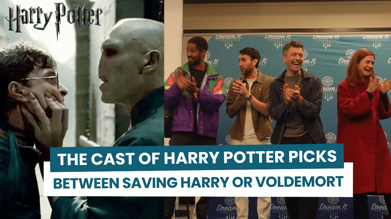 The cast of Harry Potter picks between saving Harry Potter or Lord Voldemort