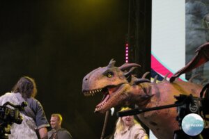 Galerie photos de l'événement Paris Fan Festival 2 - Photo 210