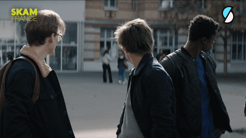 La saison 5 de SKAM France portait sur le personnage d'Arthur.