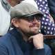 bellatrixdevil
